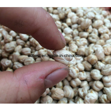 8mm 10mm Chickpeas for Sale